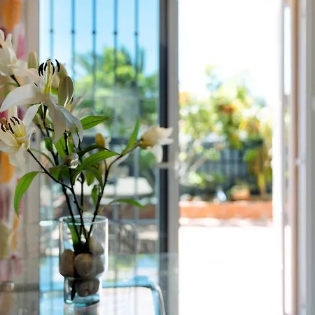 Apartament Duplex Oasis El Pal-mar